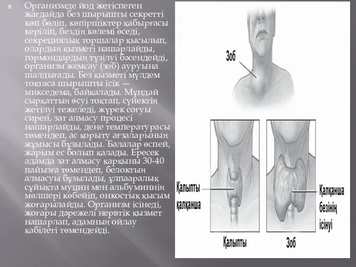 Организмде йод жетіспеген жағдайда без шырышты секретті көп бөліп, көпіршіктер қабырғасы керіліп, бездің