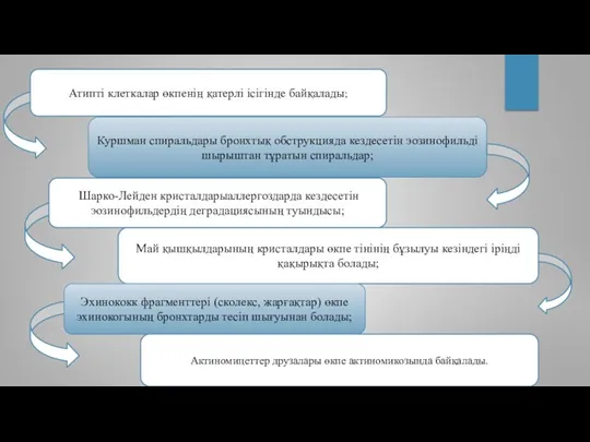 Куршман спиральдары бронхтық обструкцияда кездесетін эозинофильді шырыштан тұратын спиральдар; Май