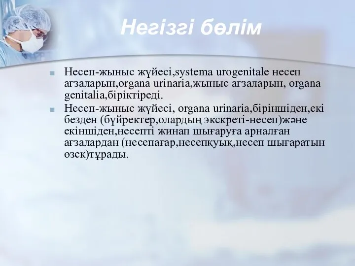 Негізгі бөлім Несеп-жыныс жүйесі,systema urogenitale несеп ағзаларын,organa urinaria,жыныс ағзаларын, organa