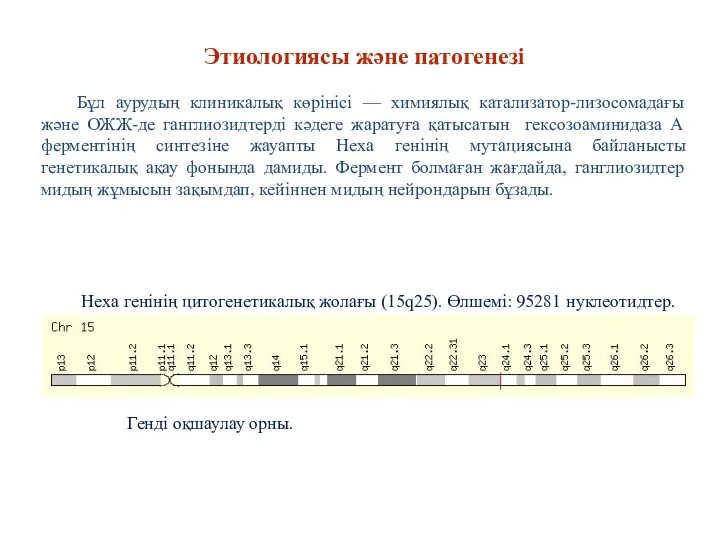 Этиологиясы және патогенезі Бұл аурудың клиникалық көрінісі — химиялық катализатор-лизосомадағы