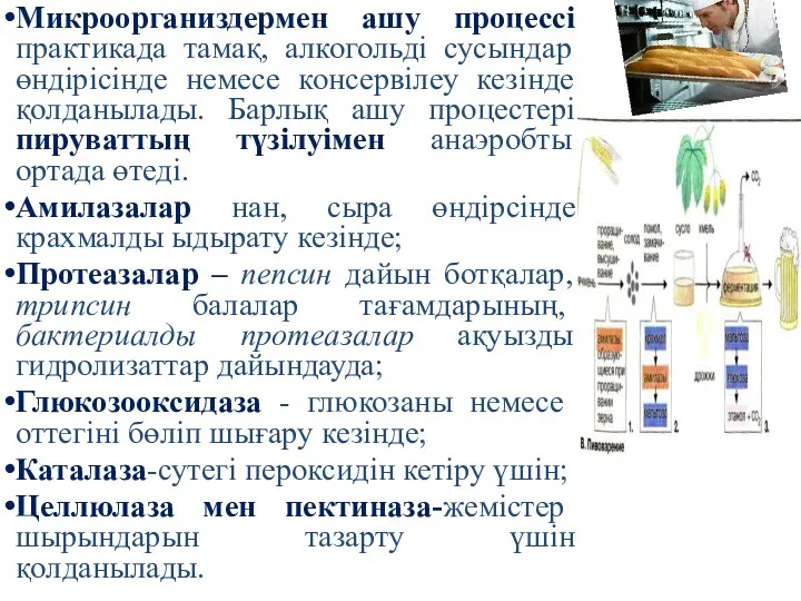 Микроорганиздермен ашу процессі практикада тамақ, алкогольді сусындар өндірісінде немесе консервілеу