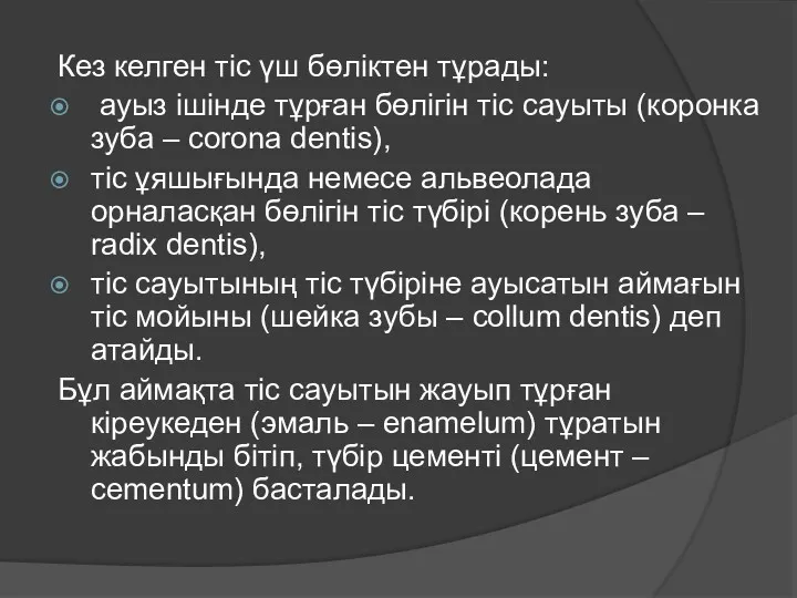 Кез келген тіс үш бөліктен тұрады: ауыз ішінде тұрған бөлігін