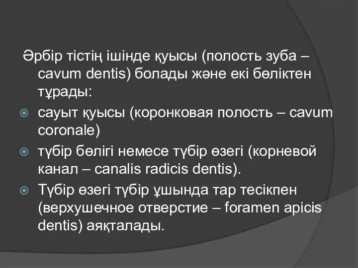 Әрбір тістің ішінде қуысы (полость зуба – cavum dentis) болады