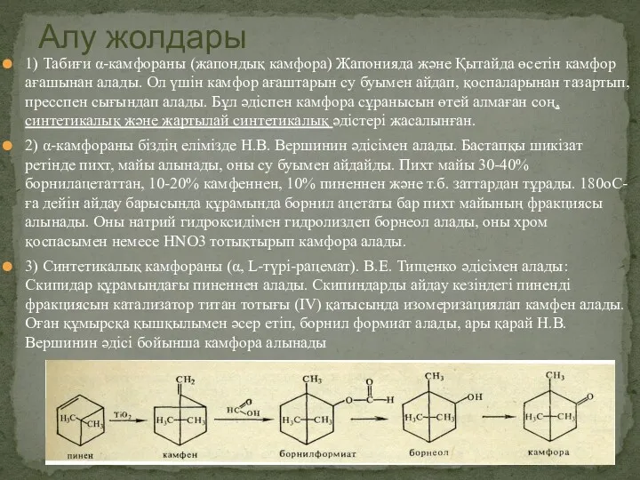 1) Табиғи α-камфораны (жапондық камфора) Жапонияда және Қытайда өсетін камфор