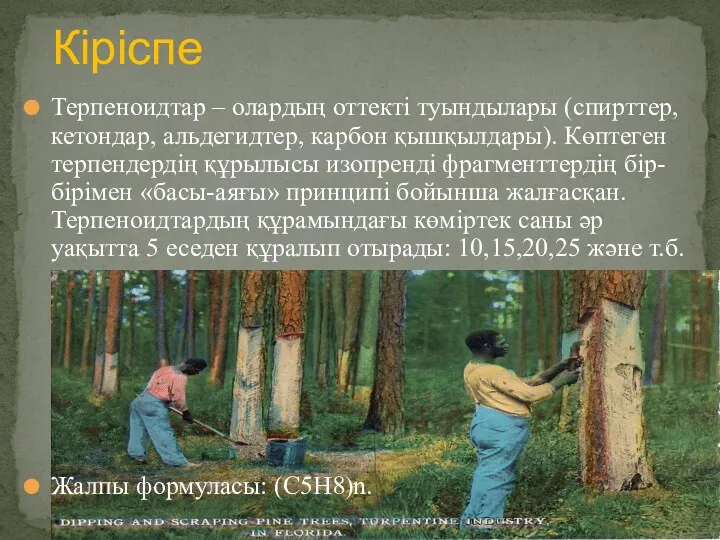 Терпеноидтар – олардың оттекті туындылары (спирттер, кетондар, альдегидтер, карбон қышқылдары).