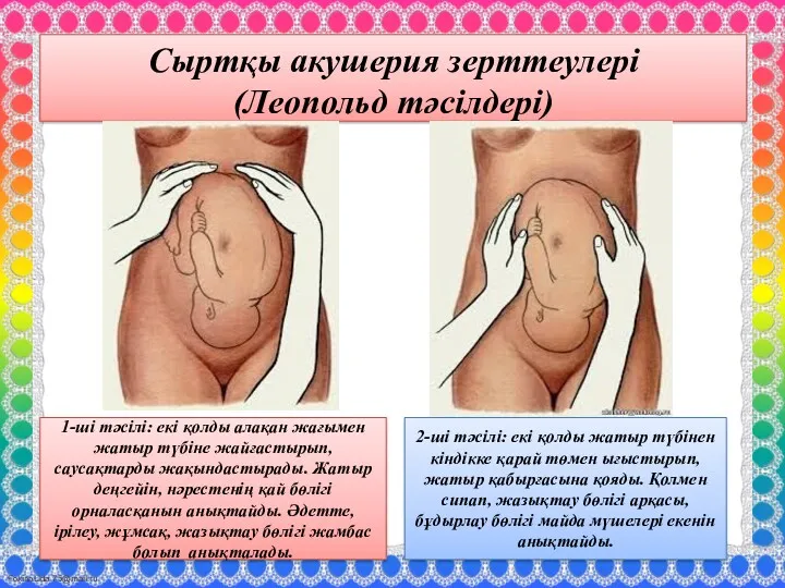 Сыртқы акушерия зерттеулері (Леопольд тәсілдері) 1-ші тәсілі: екі қолды алақан жағымен жатыр түбіне