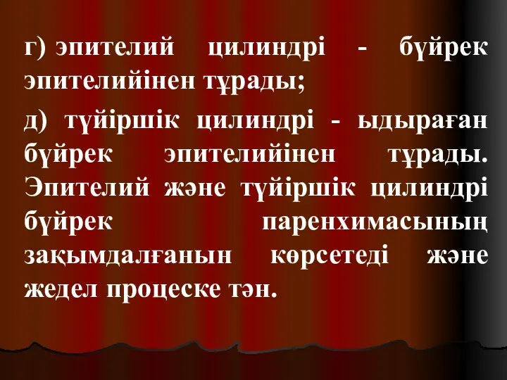 г) эпителий цилиндрі - бүйрек эпителийінен тұрады; д) түйіршік цилиндрі