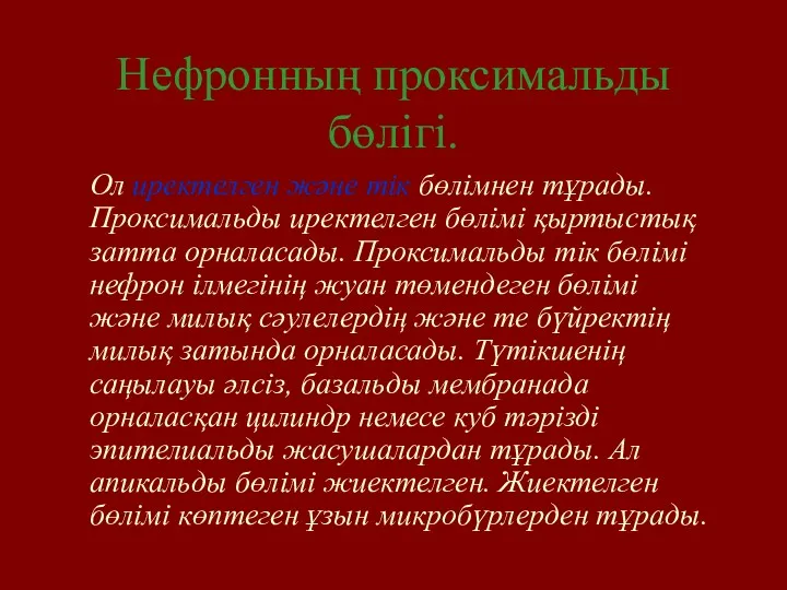 Нефронның проксимальды бөлігі. Ол иректелген және тік бөлімнен тұрады. Проксимальды