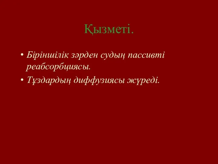 Қызметі. Біріншілік зәрден судың пассивті реабсорбциясы. Тұздардың диффузиясы жүреді.