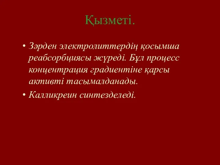 Қызметі. Зәрден электролиттердің қосымша реабсорбциясы жүреді. Бұл процесс концентрация градиентіне қарсы активті тасымалданады. Калликреин синтезделеді.