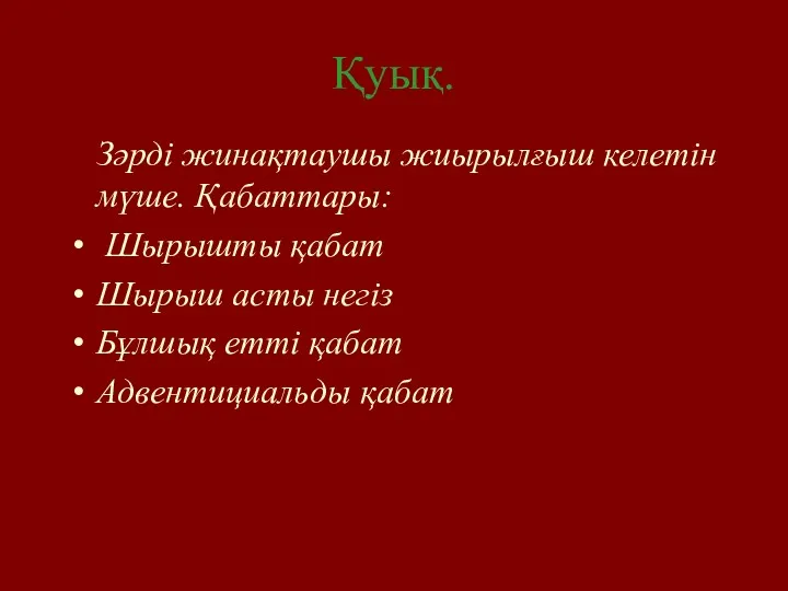 Қуық. Зәрді жинақтаушы жиырылғыш келетін мүше. Қабаттары: Шырышты қабат Шырыш