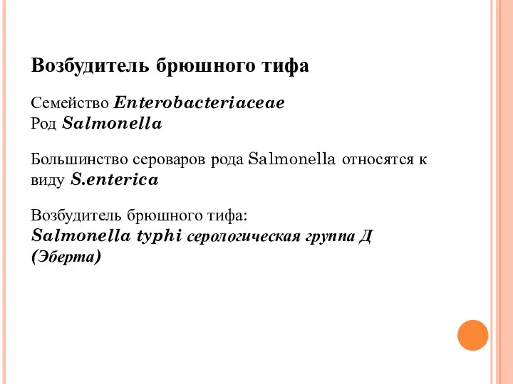 Возбудитель брюшного тифа Семейство Enterobacteriaceae Род Salmonella Большинство сероваров рода