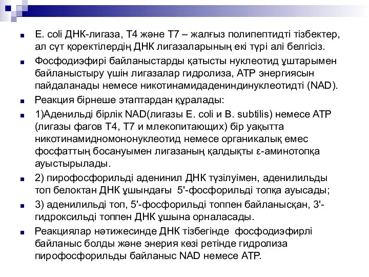 Е. coli ДНК-лигаза, T4 және Т7 – жалғыз полипептидті тізбектер, ал сүт қоректілердің