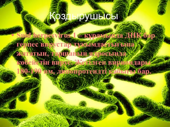 Қоздырушысы. Suid herpesvirus 1 – құрамында ДНҚ бар герпес вирустар