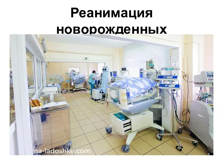 Реанимация новорожденных