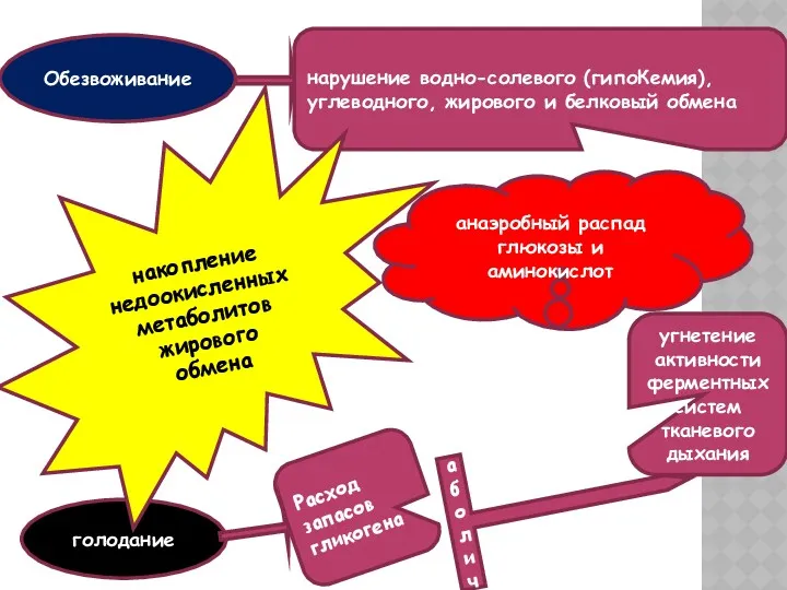 Обезвоживание нарушение водно-солевого (гипоКемия), углеводного, жирового и белковый обмена Расход запасов гликогена голодание