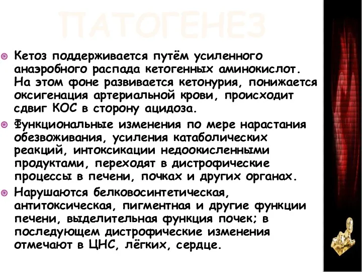 ПАТОГЕНЕЗ Кетоз поддерживается путём усиленного анаэробного распада кетогенных аминокислот. На