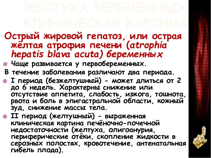 ЖЕЛТУХА БЕРЕМЕННЫХ КЛИНИЧЕСКАЯ КАРТИНА Острый жировой гепатоз, или острая жёлтая атрофия печени (atrophia