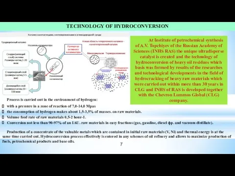 At Institute of petrochemical synthesis of A.V. Topchiyev of the Russian Academy of