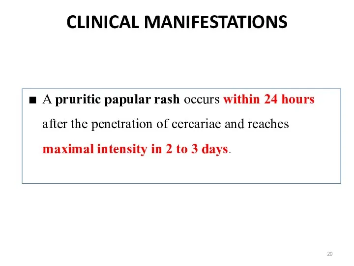CLINICAL MANIFESTATIONS A pruritic papular rash occurs within 24 hours