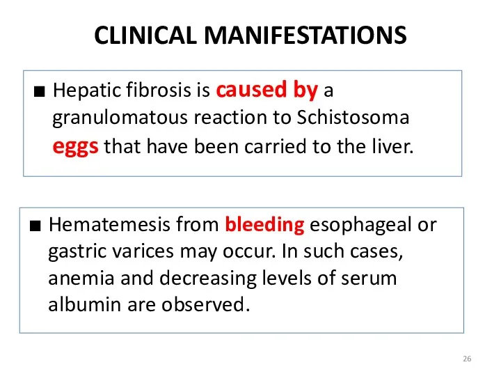 CLINICAL MANIFESTATIONS Hepatic fibrosis is caused by a granulomatous reaction