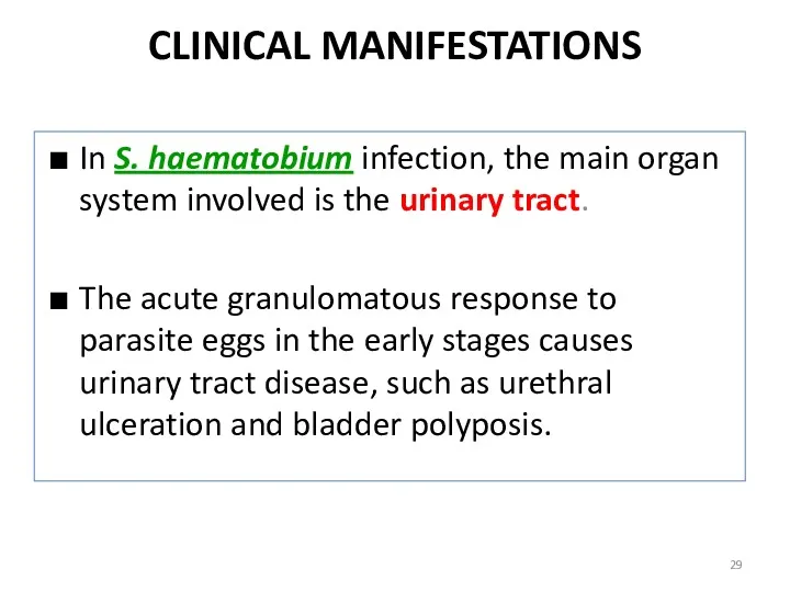 CLINICAL MANIFESTATIONS In S. haematobium infection, the main organ system