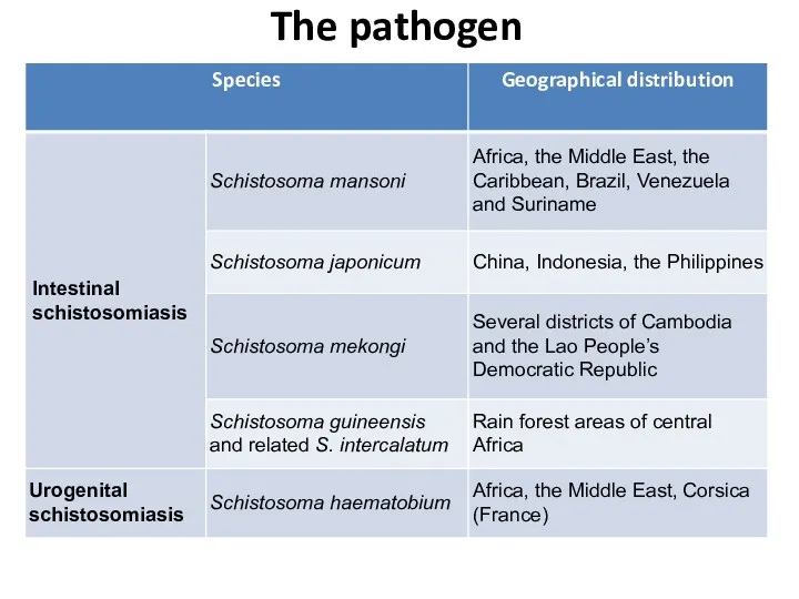 The pathogen