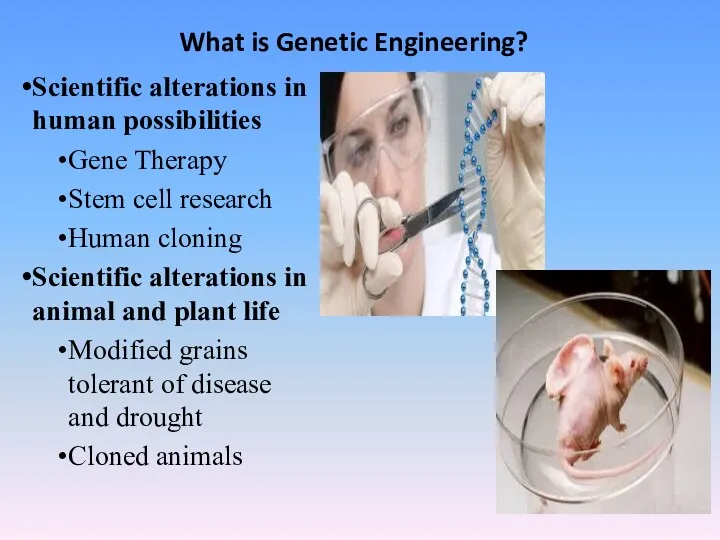 What is Genetic Engineering? Scientific alterations in human possibilities Gene