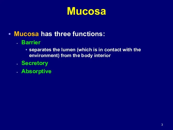 Mucosa Mucosa has three functions: Barrier separates the lumen (which