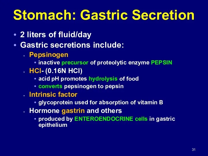 Stomach: Gastric Secretion 2 liters of fluid/day Gastric secretions include:
