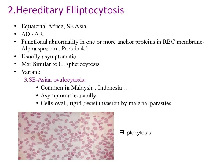 2.Hereditary Elliptocytosis Equatorial Africa, SE Asia AD / AR Functional