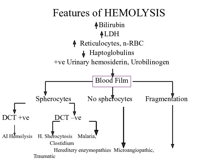 Features of HEMOLYSIS Bilirubin LDH Reticulocytes, n-RBC Haptoglobulins +ve Urinary