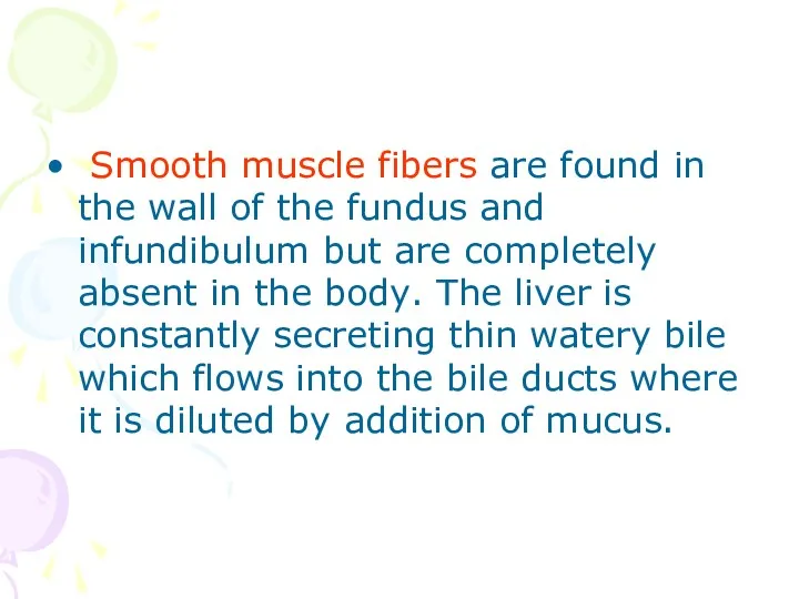 Smooth muscle fibers are found in the wall of the