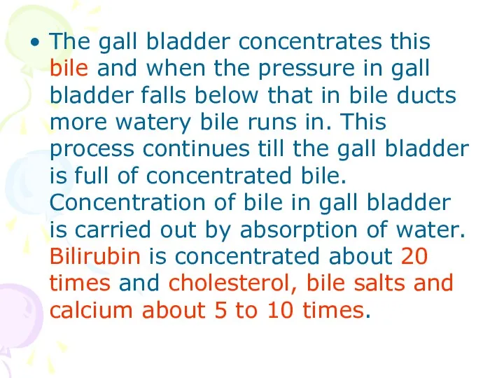 The gall bladder concentrates this bile and when the pressure