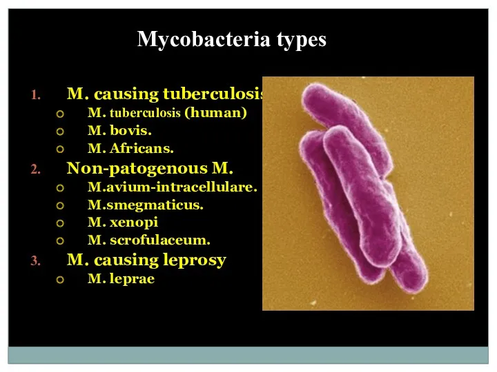 Mycobacteria types M. causing tuberculosis M. tuberculosis (human) M. bovis.