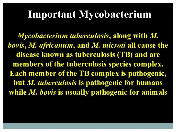 Important Mycobacterium Mycobacterium tuberculosis, along with M. bovis, M. africanum,