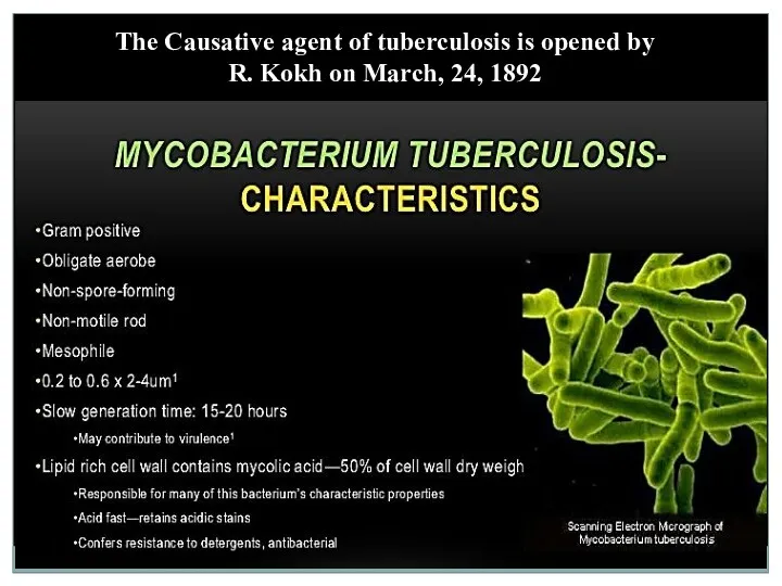 The Causative agent of tuberculosis is opened by R. Kokh on March, 24, 1892