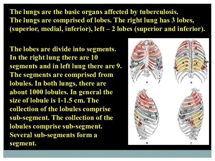 The lungs are the basic organs affected by tuberculosis. The