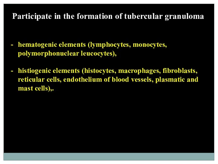 Participate in the formation of tubercular granuloma hematogenic elements (lymphocytes,