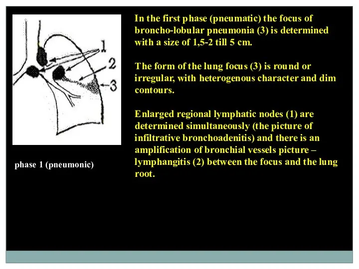 phase 1 (pneumonic) In the first phase (pneumatic) the focus