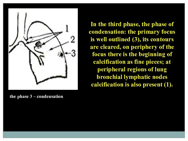 the phase 3 – condensation In the third phase, the