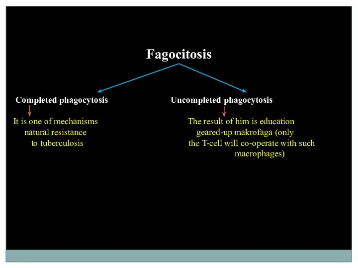 Fagocitosis Completed phagocytosis Uncompleted phagocytosis It is one of mechanisms