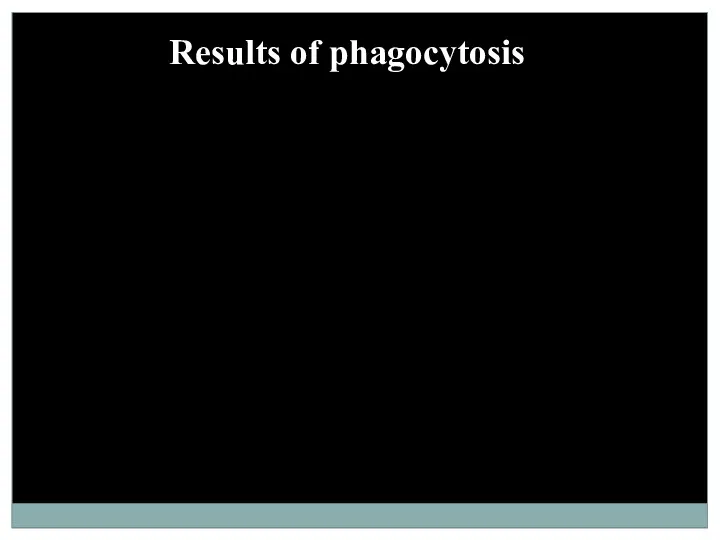 Results of phagocytosis