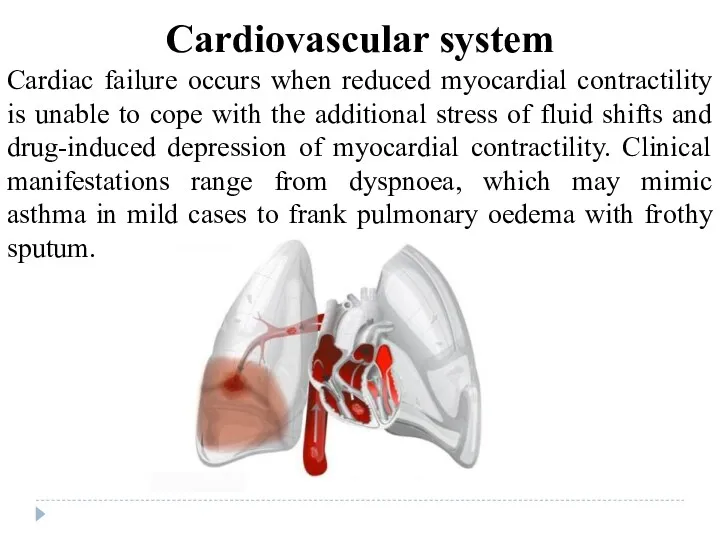 Cardiovascular system Cardiac failure occurs when reduced myocardial contractility is