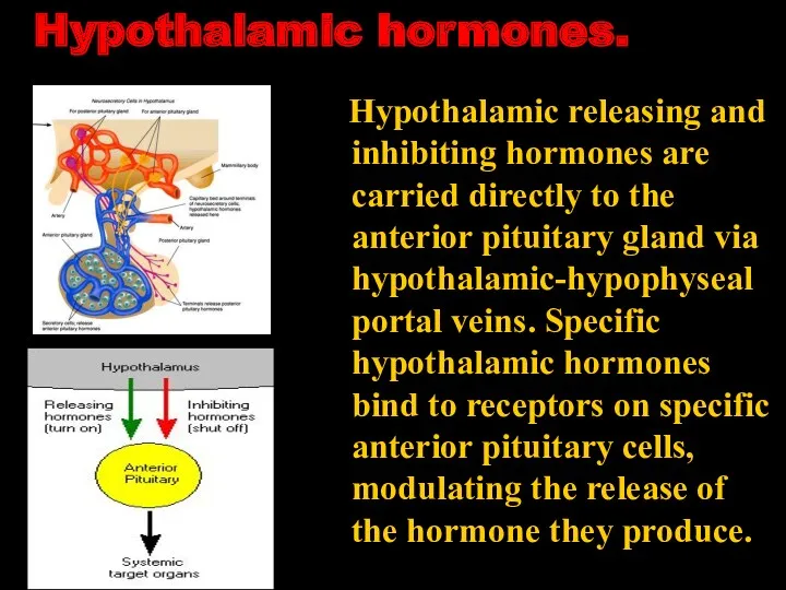 Hypothalamic hormones. Hypothalamic releasing and inhibiting hormones are carried directly