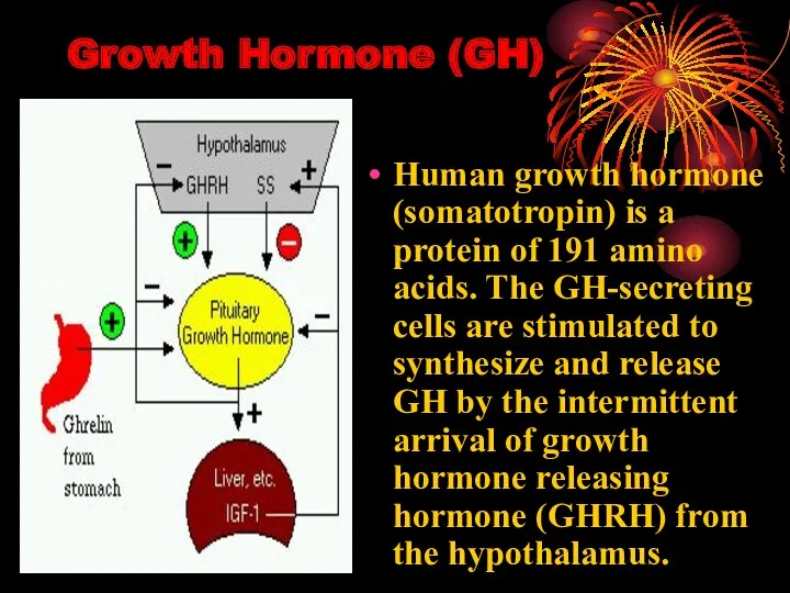 Growth Hormone (GH) Human growth hormone (somatotropin) is a protein