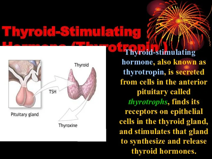 Thyroid-Stimulating Hormone (Thyrotropin ) Thyroid-stimulating hormone, also known as thyrotropin,