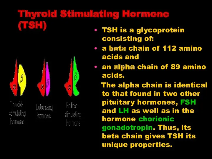 Thyroid Stimulating Hormone (TSH) TSH is a glycoprotein consisting of: