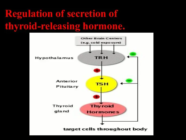 Regulation of secretion of thyroid-releasing hormone.