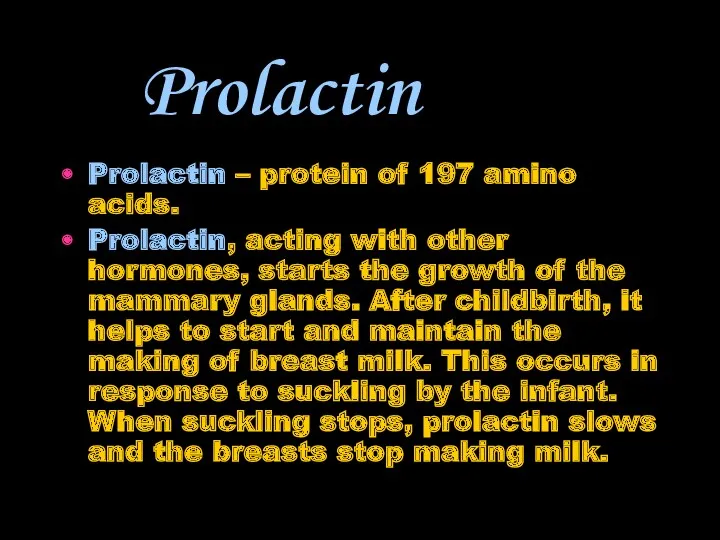 Prolactin Prolactin – protein of 197 amino acids. Prolactin, acting